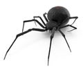 Black Widow Spider 3D Illustration Isolated On White Background