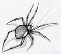 Black widow spider drawing