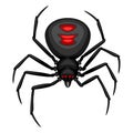 Black widow spider icon. Royalty Free Stock Photo