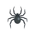 Black widow spider icon, flat style Royalty Free Stock Photo