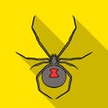 Black widow spider icon in flat style isolated on white background. Insects symbol stock vector illustration. Royalty Free Stock Photo