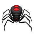 Black widow spider icon. Royalty Free Stock Photo