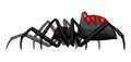 Black widow spider icon. Royalty Free Stock Photo