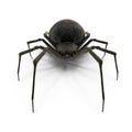 Black Widow Spider Isolated 3D Illustration On White Background