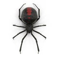 Black Widow Spider Isolated 3D Illustration On White Background