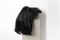 Black wig cinder block concrete Royalty Free Stock Photo