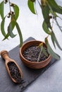 Black wild rice in wood bowl with spoon on black slate on light gray background