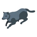 Black wild wolf icon, isometric style Royalty Free Stock Photo