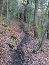 Black winding winter forest pathway on a hillside in dark winter Royalty Free Stock Photo