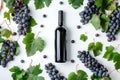 Black wine bottle with fresh grapes forming a circle around it on a white background