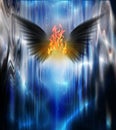 Black winged fire