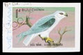 Black-winged Kite (Elanus caeruleus), Birds of Prey serie, circa 1982