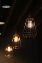 Black wire frame ceiling lamp interior lighting bulbs vintage style