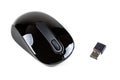 Black wireless mouse and USB dongle Royalty Free Stock Photo