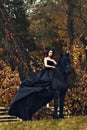 Black witch queen horseback on a black horse in a gloomy grim dark forest as in a horror scary fairy tale