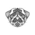 Black and wite pug with ethnic floral ornaments for adult coloring book. Zentagle pattern. Vector doodle illustration Royalty Free Stock Photo