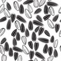 Black, white sunflower seeds. Seamless pattern. Vector illustration Royalty Free Stock Photo