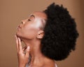 Black woman afro, beauty and hair care for salon, skincare or cosmetics against a brown studio background. African Royalty Free Stock Photo