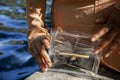 black woman hands holding a clear hand bag