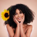 Black woman, studio portrait and sunflower with beauty, smile and cosmetic wellness by beige background. African gen z Royalty Free Stock Photo