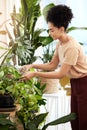 Black woman, water plants and gardening in house for health, care and plant growth. Spring flowers, sustainability and Royalty Free Stock Photo