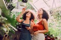 Black women, tablet or pointing in plant greenhouse in organic growth management, ecommerce flower orders or Royalty Free Stock Photo