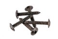 Black wood screws Royalty Free Stock Photo