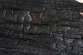 Black wood texture after fire, coal