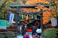 A black wood Torii Gate surrounded by fiery maple foliage in autumn and a Shimenawa straw rope festooned