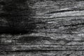 Black wood txture background. Royalty Free Stock Photo