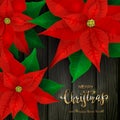 Black Wooden Background with Red Christmas Poinsettia Royalty Free Stock Photo