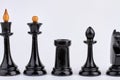 Black wooden chess pieces isolated on white background. Royalty Free Stock Photo