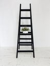 Black wooden stepladder in interior