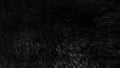Black wool texture background, dark natural sheep wool, black seamless cotton, texture of gray fluffy fur, close-up fragment of Royalty Free Stock Photo