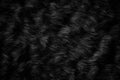 Black wool texture background, dark natural sheep wool, black seamless cotton, texture of gray fluffy fur, close-up fragment of bl Royalty Free Stock Photo