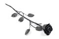 Black forged iron rose