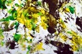 Black yellow dark green contrasts, paint watercolor background, abstract painting watercolor background