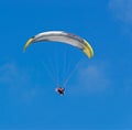 Black and yellow glider Royalty Free Stock Photo