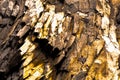 Black and yellow gold rock background