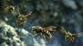 Black and yellow large wasps fly on the winter earth