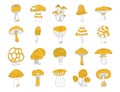 Black and yellow mushrooms set on white background. Hand drawing food vector illustration. Autumn clipart. Royalty Free Stock Photo