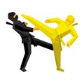 Black and yellow ninja combat