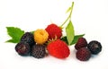 Black yellow and red raspberries Royalty Free Stock Photo