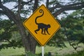 Black and yellow road sign. traffic sign showing a monkey. Royalty Free Stock Photo