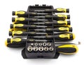 Black and yellow screwdriver set in organizer box Royalty Free Stock Photo