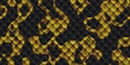 Black yellow snakeskin surface. Dangerous wildlife backdrop. Snake leather seamless textures. Reptile skin background. Reptilian