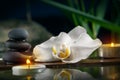 Black zen stones,candles and white orchids on a wooden plank on the surface of the water. SPA, relaxation, meditation Royalty Free Stock Photo