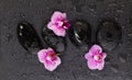 Black zen stones and pink orchid flowers, top view flat lay Royalty Free Stock Photo