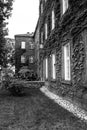 Blackandwhite krakow street poland oldstreet town oldcity trees blackwite