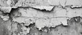 Monochrome photo of a weathered brick wall with peeling paint Royalty Free Stock Photo